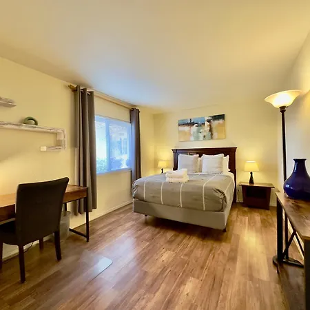 Zen Desert 3Br Home, Great Location-3