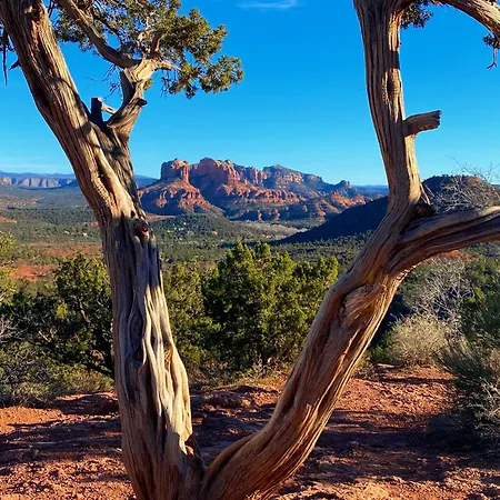 Sedona'S Paradise Found, Saltwater Pool And Hot Tub, Private Oasis!-2
